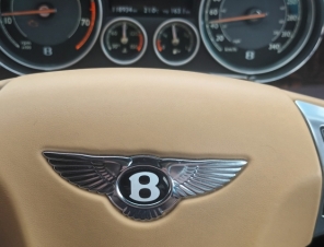 steering wheel
